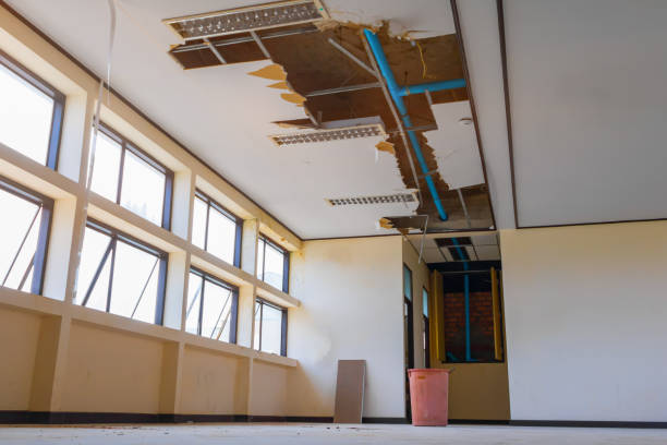Best Basement water damage restoration  in Sutter Creek, CA