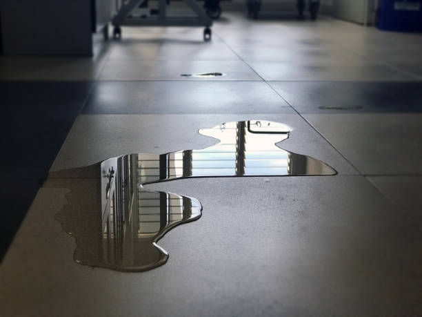 Best Local water damage restoration  in Sutter Creek, CA