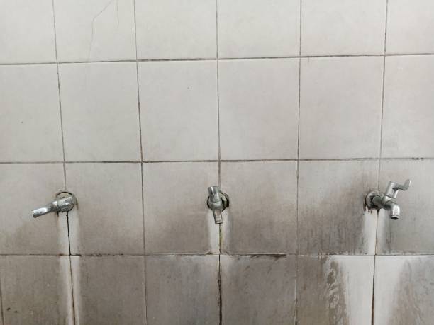 Best Water damage repair service  in Sutter Creek, CA