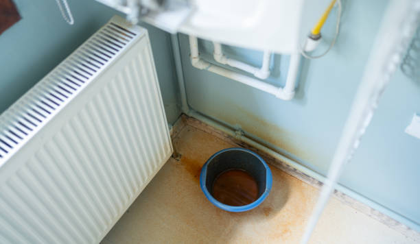 Best Professional water damage repair  in Sutter Creek, CA