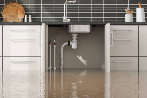 Best Carpet water damage restoration  in Sutter Creek, CA