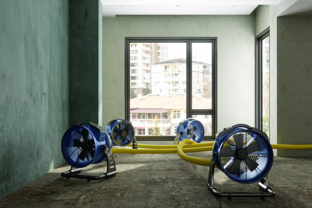 Best Sewage cleanup and water damage restoration  in Sutter Creek, CA